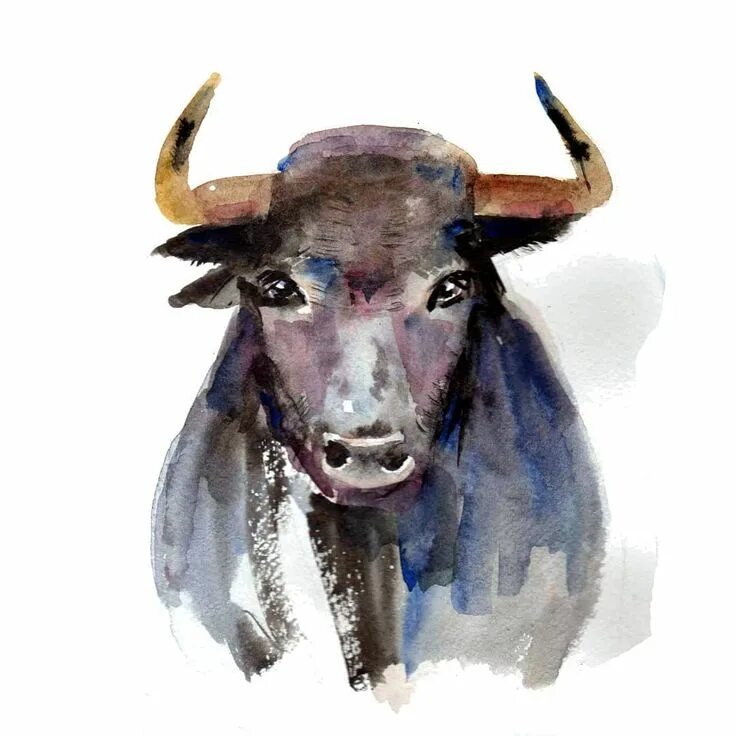 Рога быка. Взять быка за рога. Быка за рога реклама. Бык в берете. Быка за рога рисунок.