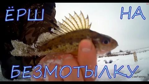 Где поймать ерша