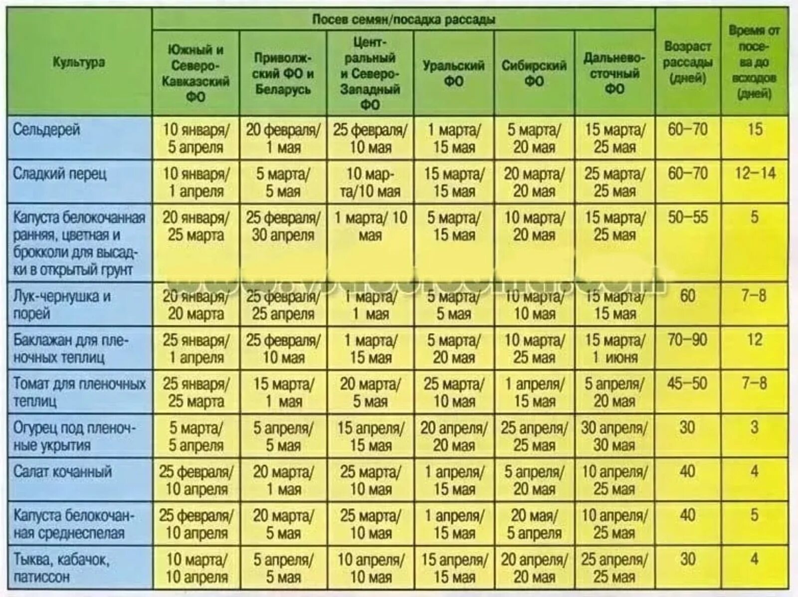 Через сколько 15 июня. Таблица сроков посева семян на рассаду. Таблица сроков посева семян томатов на рассаду. Срок посадки овощей в грунт таблица. Сроки посева семян в открытый грунт.
