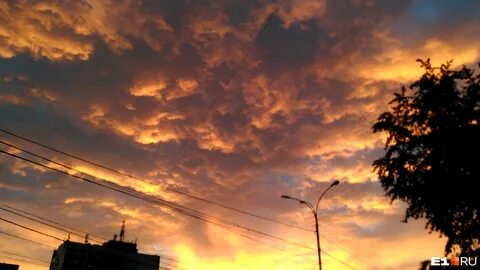 Воробьева небеса