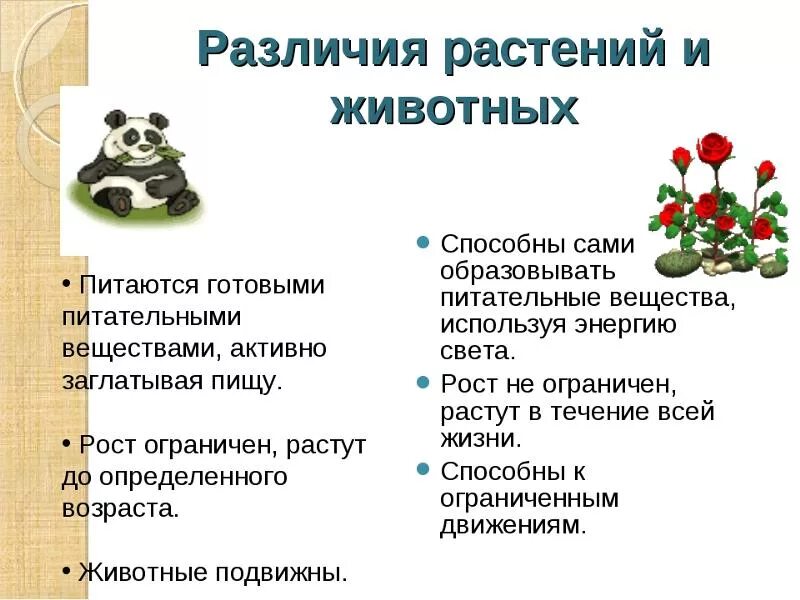 Что отличает 7. Чем растения отличаются от животных 5 класс биология. Отличия животных от растений 5 класс биология. Отличие растений от животных таблица 7 класс. Отличие животных от растений 7 класс таблица по биологии.