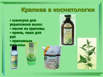 Крапива применение