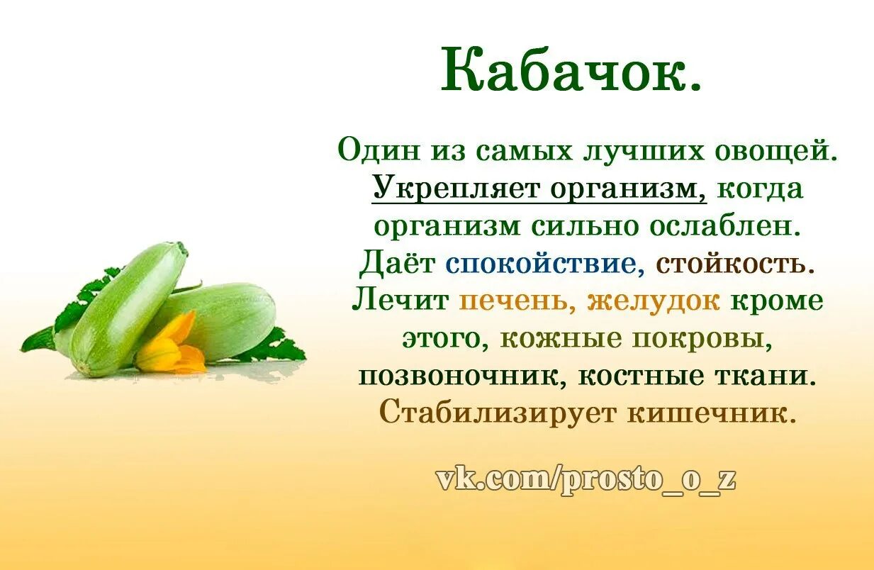 Про пользу. Полезные свойства овощей. Кабачок полезные свойства. Интересные факты о фруктах и овощах. Необычные факты об овощах и фруктах.