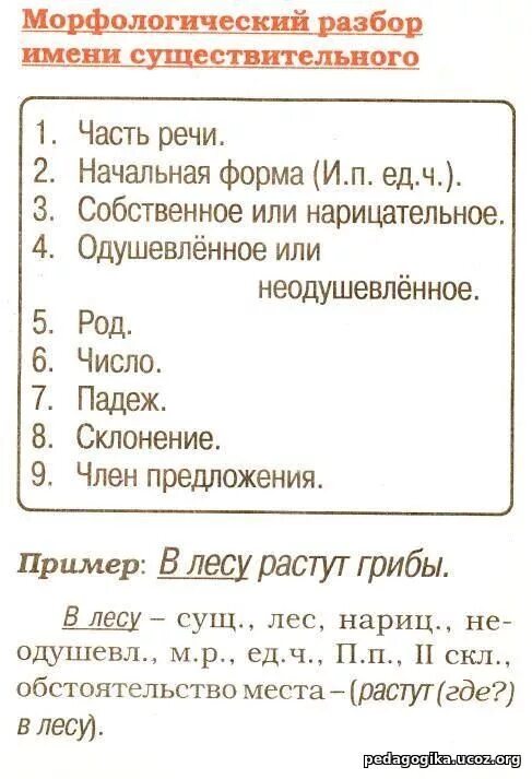 Как делать морфологический разбор слова 6 класс. Морфологический разбор. Морфологический разбортсдова. Морфологический разбор существительного. Разбор имени существительного.