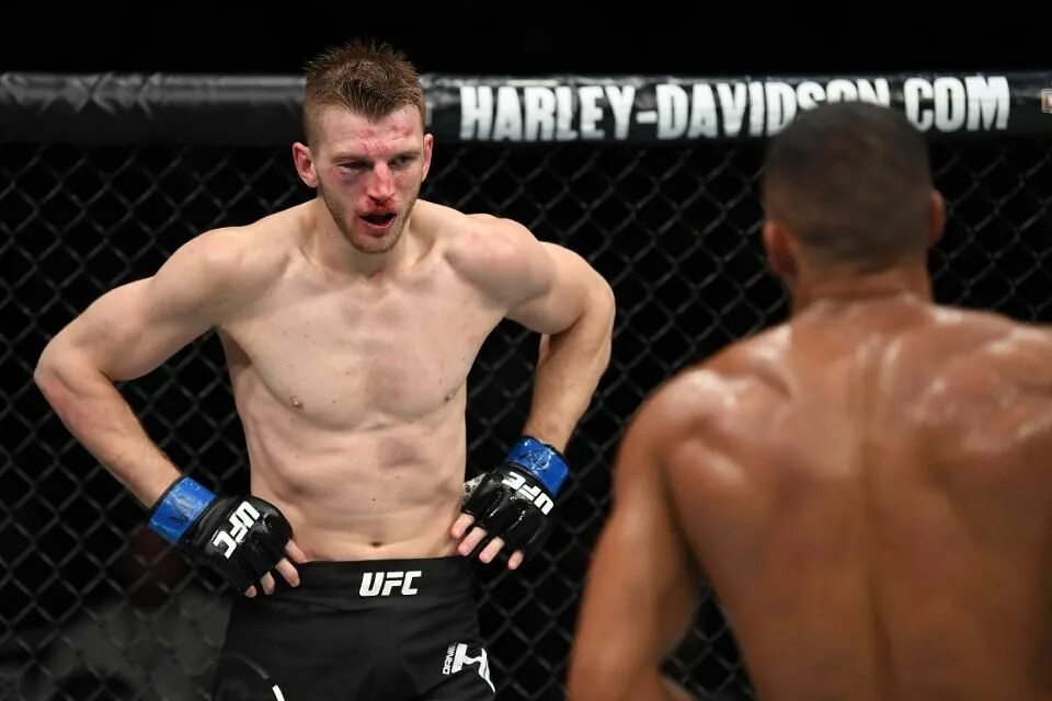 Галуэйские хукеры. Дэн хукер пол фелдер битва взглядов. Dan hooker ufc. Дэн хукер новозеландский боец без правил. Хукер боец.