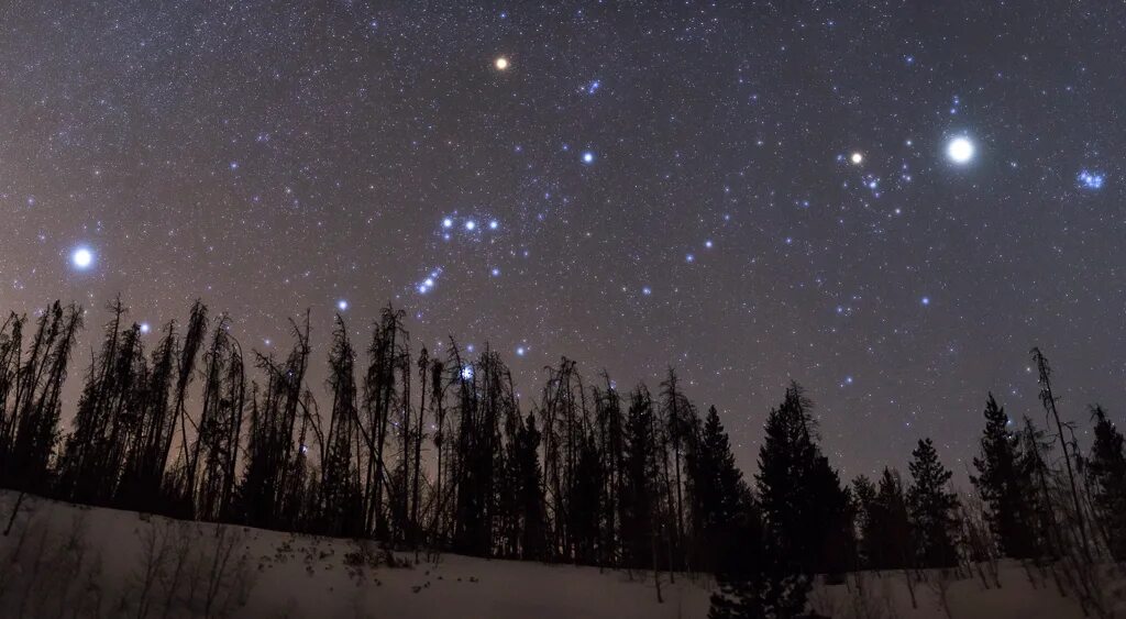Какие звезды весной. Созвездия Орион и Сириус на небе зимой. Гелиакический Восход Сириуса. Звезда Сириус с земли. Сириус Астрофото.