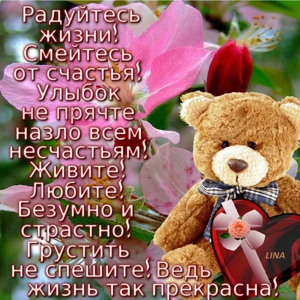 Дневник радости образец. Радоваться жизни. Радуйтесь жизни она одна. Радуйтесь жизни она одна. Радуйтесь жизни.