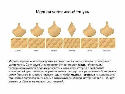 Состав слова чешуя