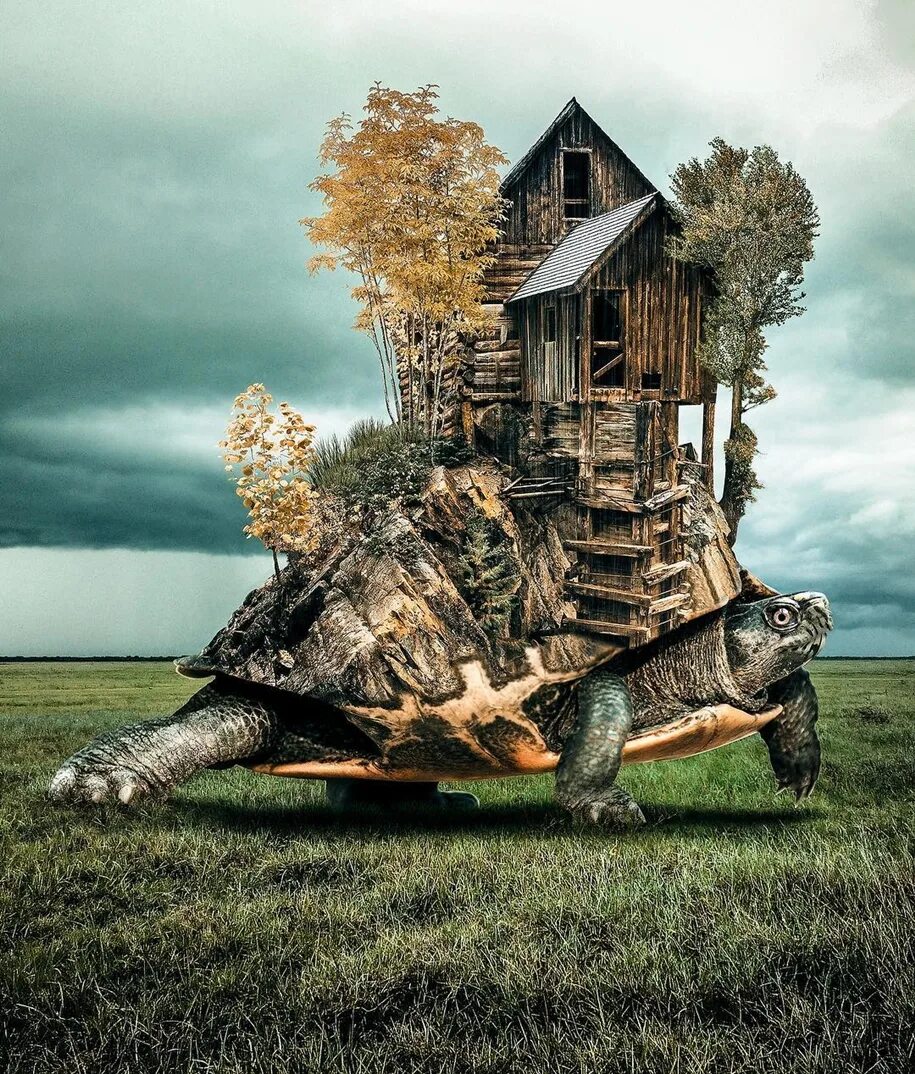 Удивительный мир цифровой. Турецкий художник Хусейн Шахин. Хусейн Сахин цифровой художник. Фотоманипуляции Хусейна Шахина. Сюрреализм Хусейн Сахи.