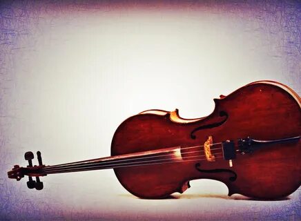 Violin cello