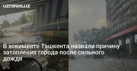 31 июля 2020 г