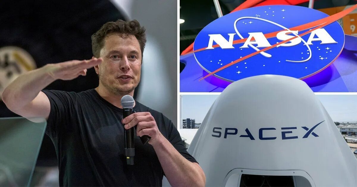 Илон маск 2024 год. Илон Маск Space x. Илон Маск Tesla, SPACEX. Илон Маск НАСА. SPASEX elonmusk.