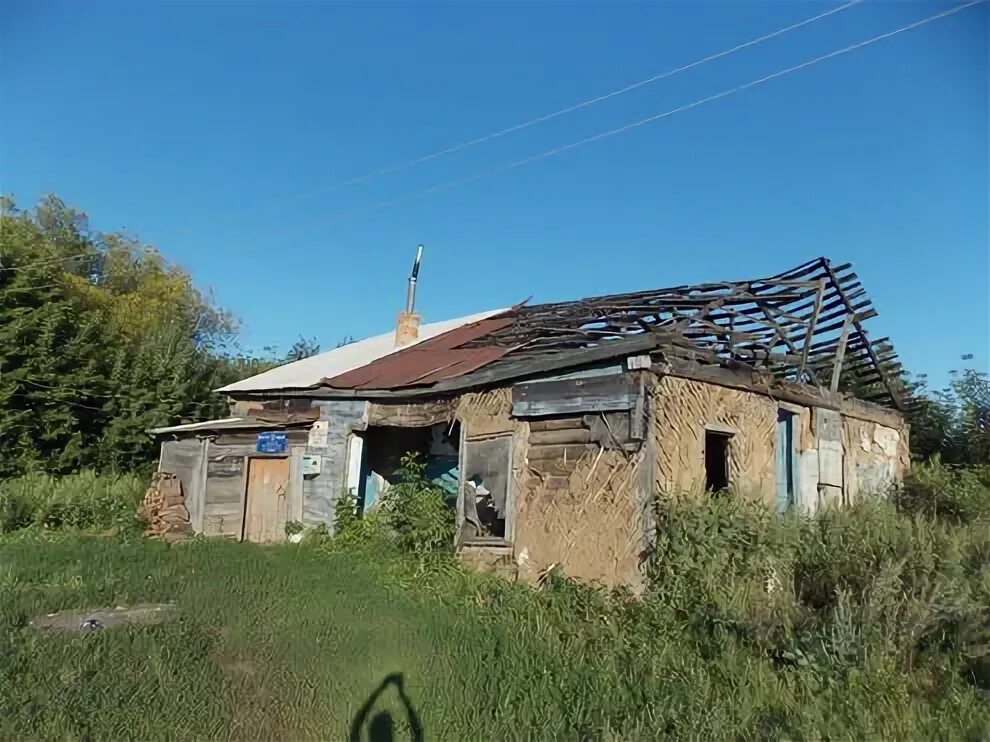Погода в сураве тамбовская область
