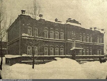 История развития перми