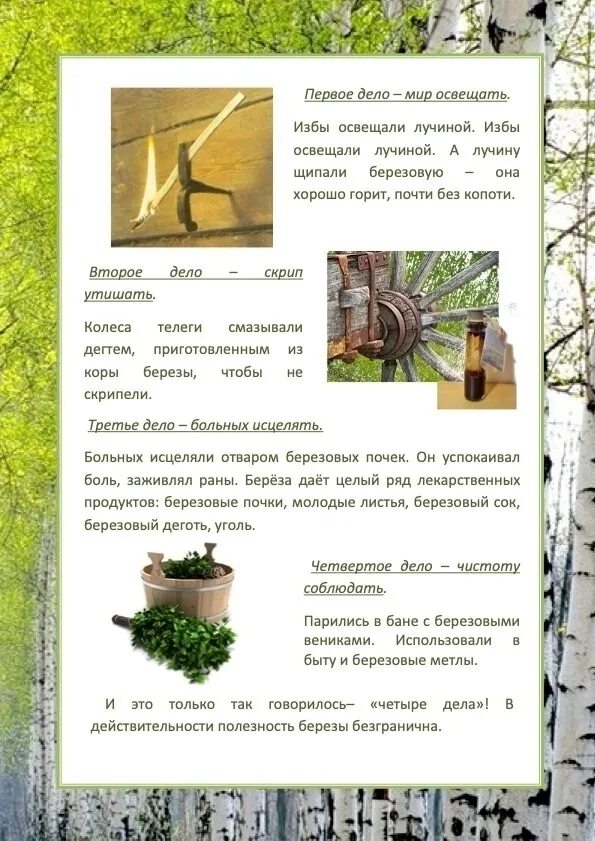 Отчет день русской березы. Отчет день русской березы. День березы в детском саду в подготовительной. День березы 11 апреля картинки. Мероприятия к дню русской березки.