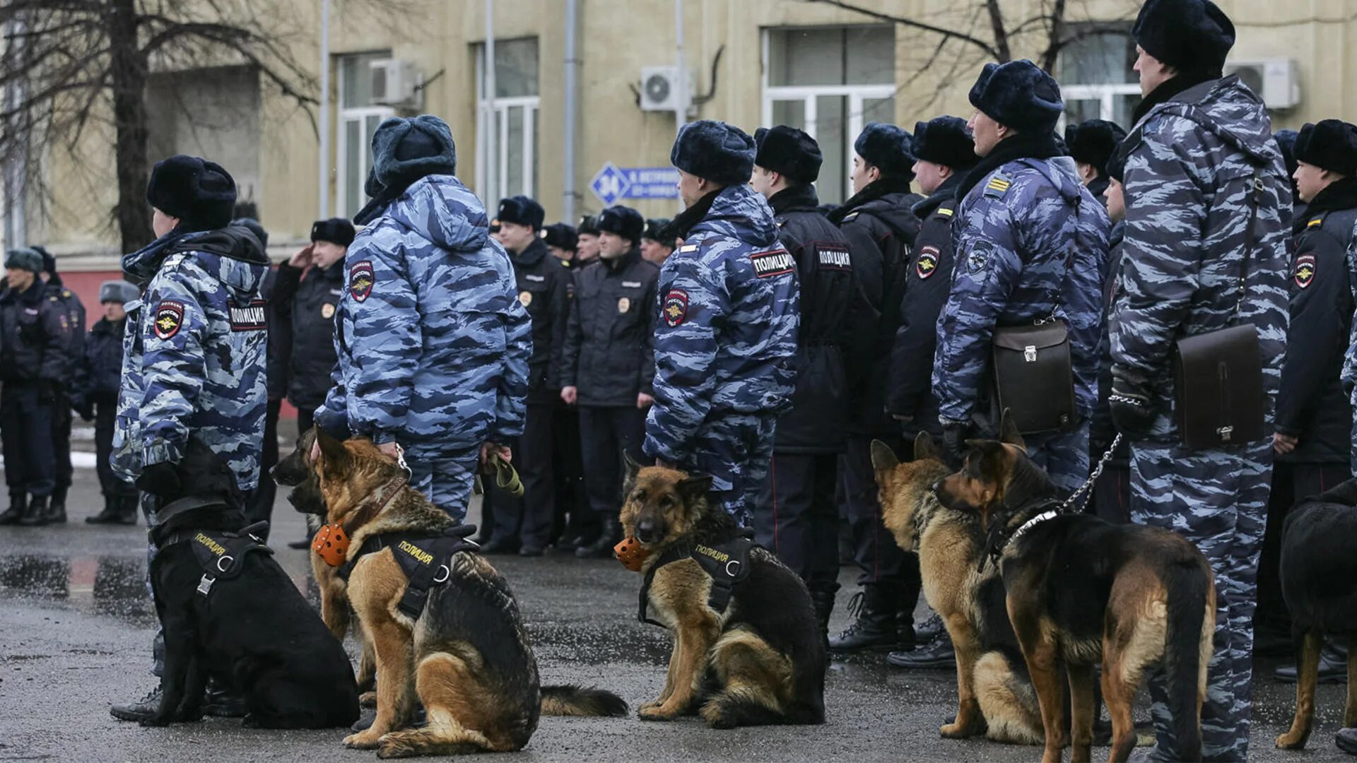 Работник по охране общественного порядка. Массовые мероприятия полиция. Полиция охрана порядка. Полиция охраняет общественный порядок. Полиция общественной безопасности.