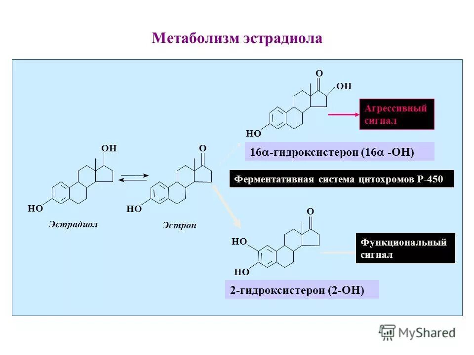 Как понизить эстрадиол у мужчин