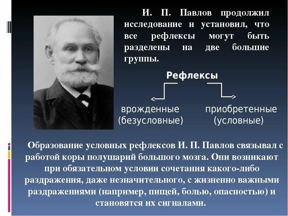 Кто из ученых разработал теорию. Исследования и.п. Павлова. Павлов теория рефлексов. Учение Павлова о рефлексах. Ученый теория условных рефлексов.