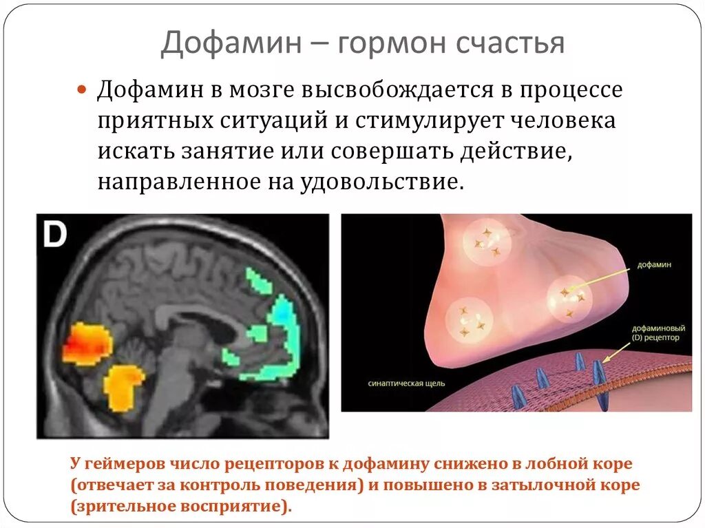 Естественные источники дофамина. Дофамин. Дофамин мозг. Дофамин гормон. Выброс дофамина в мозг.