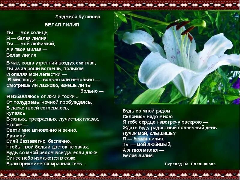Слушать про лилии. Стихи про лилии. стихотворение про лилию. стихи о лилиях короткие красивые. стихотворение белая лилея.