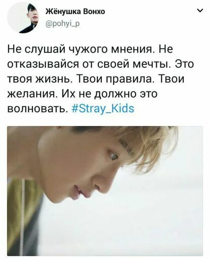 Стрей цитаты. Цитаты stray kids. цитаты из stray kids. цитаты stray kids на русском. цитаты stray kids мотивация.