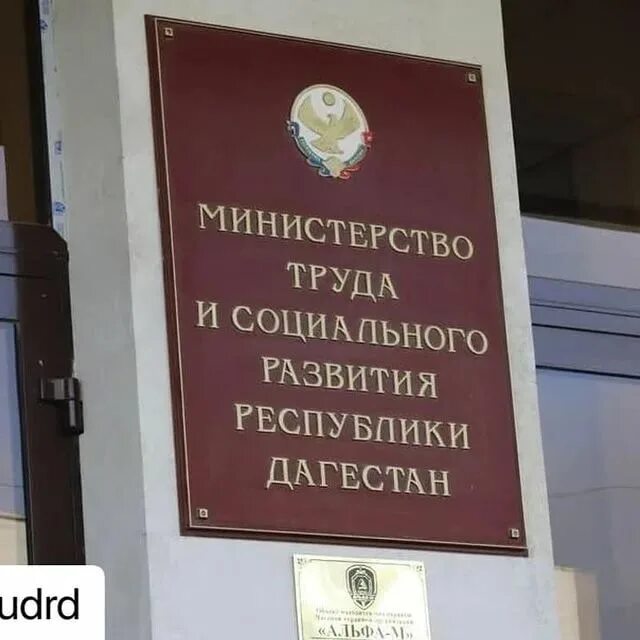 Кихасуров магомедзагид. Колл центр махачкала. Минтруд махачкала. Волонтерский центр махачкала. Махачкала президент республики.