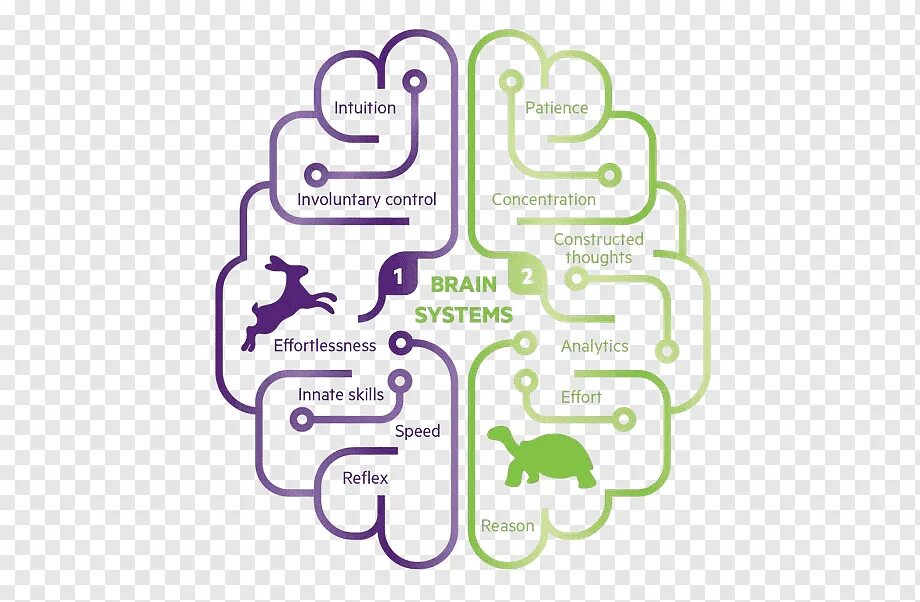 Решение brain. Канеман 2 системы мышления. Система 1 и система 2 Канеман. Система мышления по Канеману. Даниэль Канеман система 1 система 2.