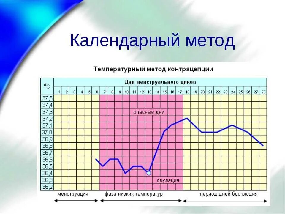 Сразу после цикла можно забеременеть