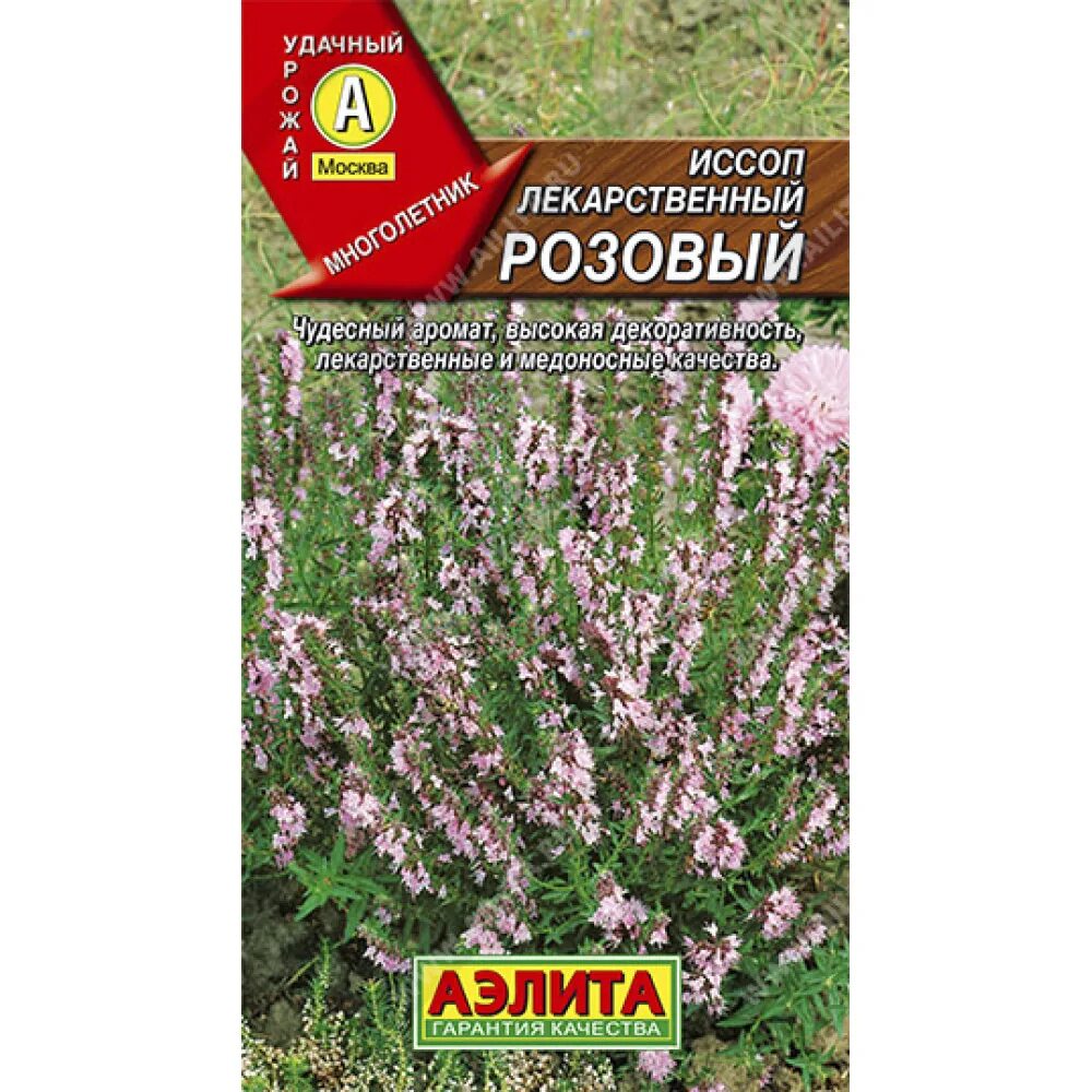 Иссоп семена купить. Иссоп лекарственный розеус. Иссоп розовый Фламинго. Семена иссоп лекарственный розовый Фламинго. Иссоп сорт лекарь.