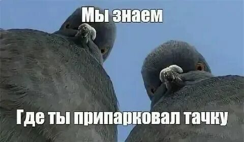 Кот прекрати продолжай. Включи картинки ебачуса. Включи что ты такой хороший. Налоговый вычет мемы. Ну чё ты такой хороший.