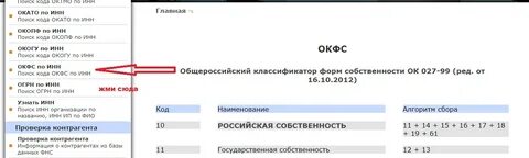 Росстат окфс