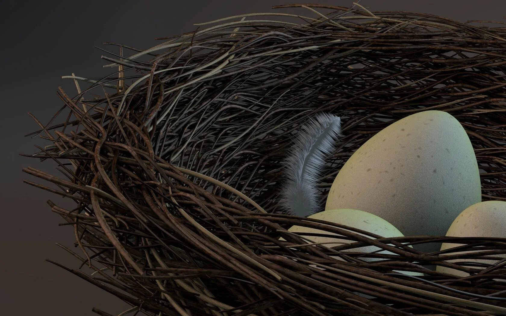 К чему снится куриное гнездо. Модель гнезда. Гнездо 3d. Прическа Птичье гнездо. Яйца птиц.