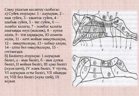 Лидия Арефиева секс порно видео