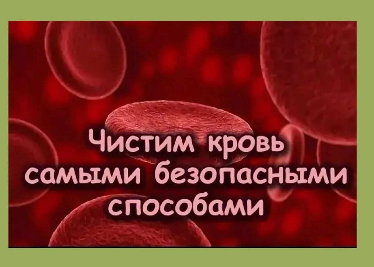 Печень очищает кровь. Очистить кровь в организме. Самая лучшая кровь.