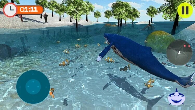 Swim simulator. Simulator swimming. blue whale simulator iphone.