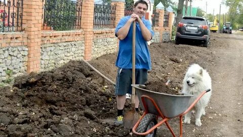 Погода в мамоново на неделю точный