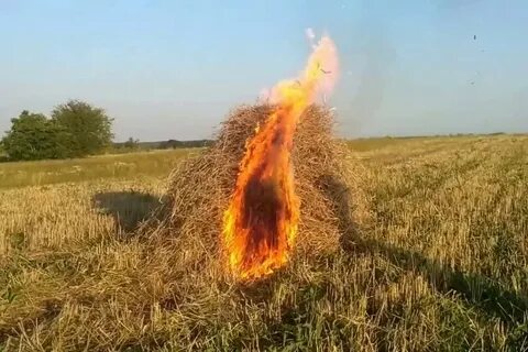 Где жжет