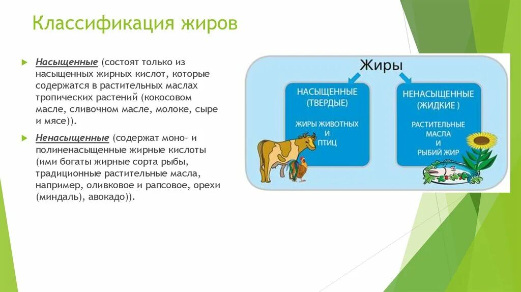 Источники насыщенных жиров ответ на тест. Источники насыщенных жиров ответ на тест
