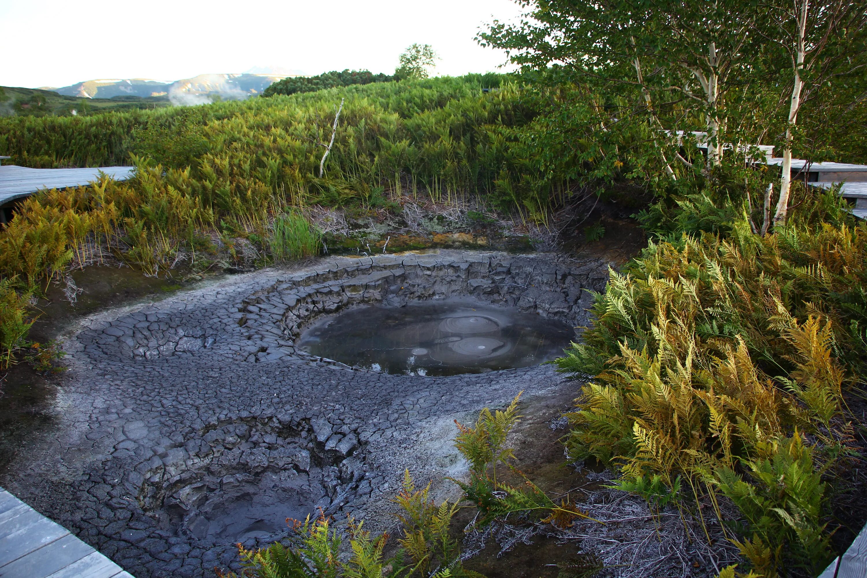 Кальдера вулкана узон на камчатке. Кальдера вулкана узон на камчатке. Кроноцкий заповедник кальдера вулкана узон. Грязевой гейзер. Кроноцкий заповедник вулкан узон.