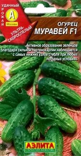 Семена огурцов муравей
