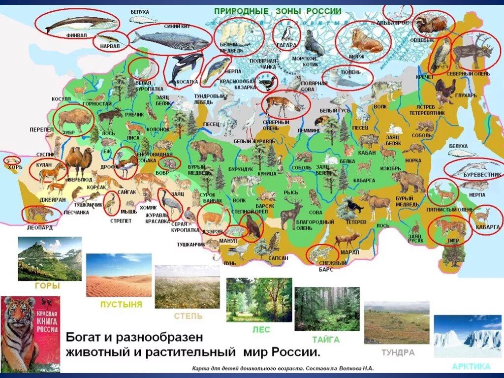 Богата разнообразными ресурсами