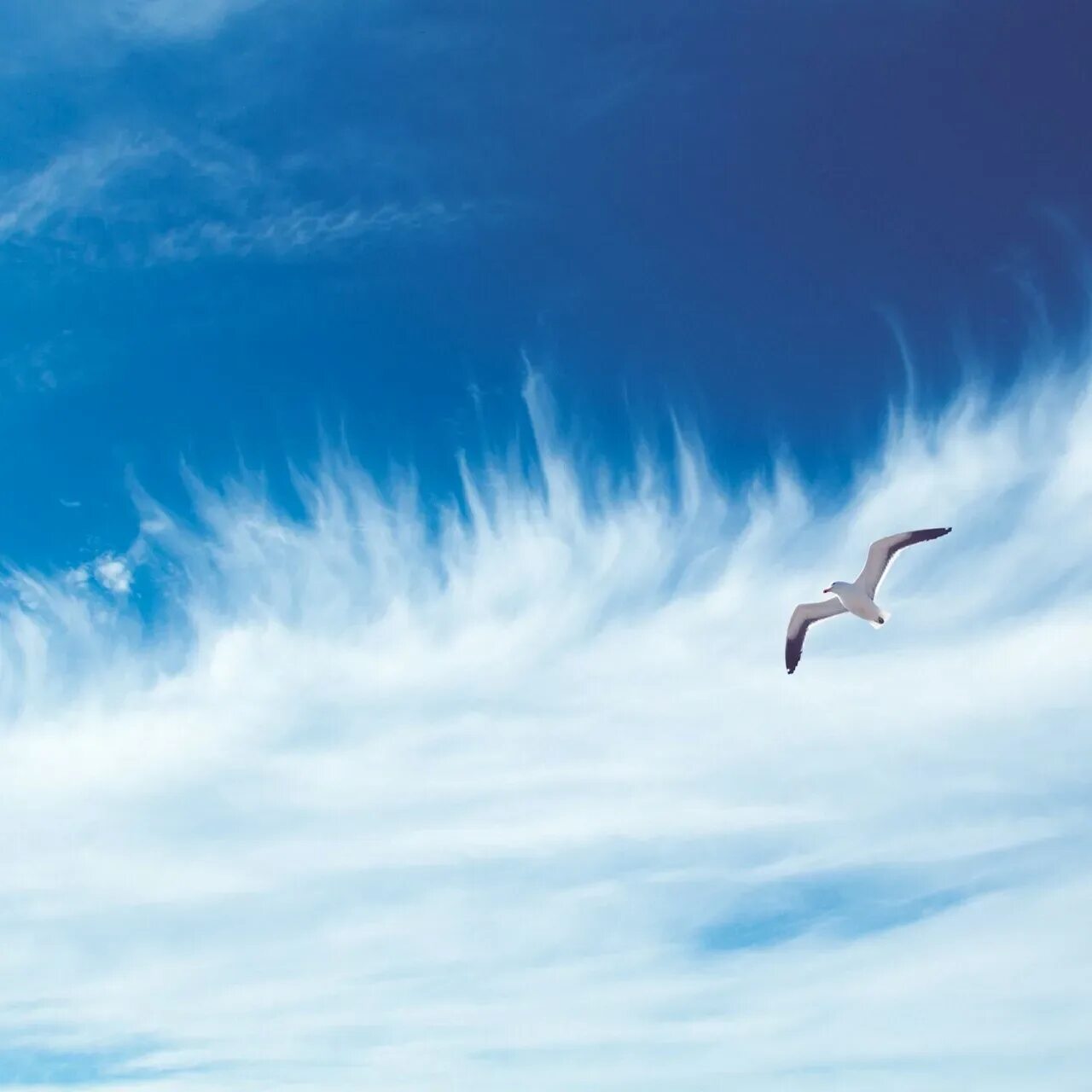 Поздравления с днём рождения мужчине стильные. С днём рождения мужчине. С днём рождения мужчине. Поздравляю с днем рождения со смыслом. С днём рождения женщине философские.