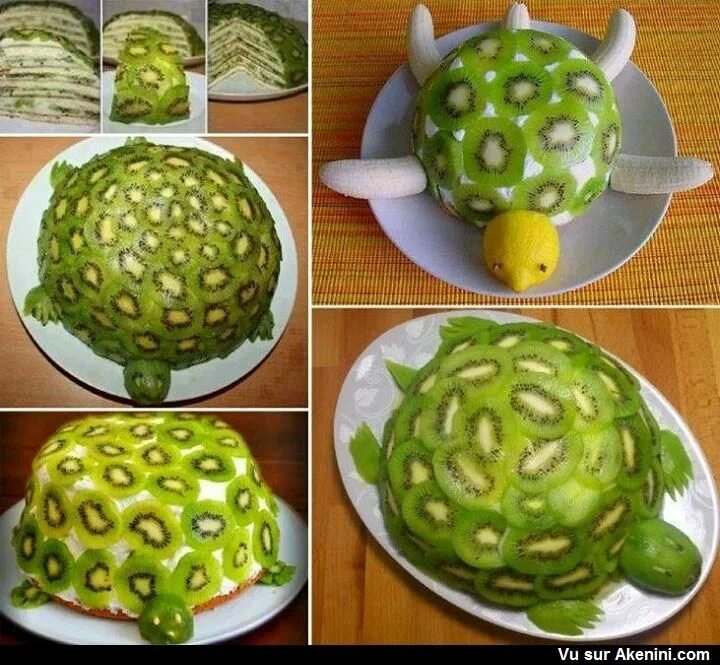 Turtle turtle fruit