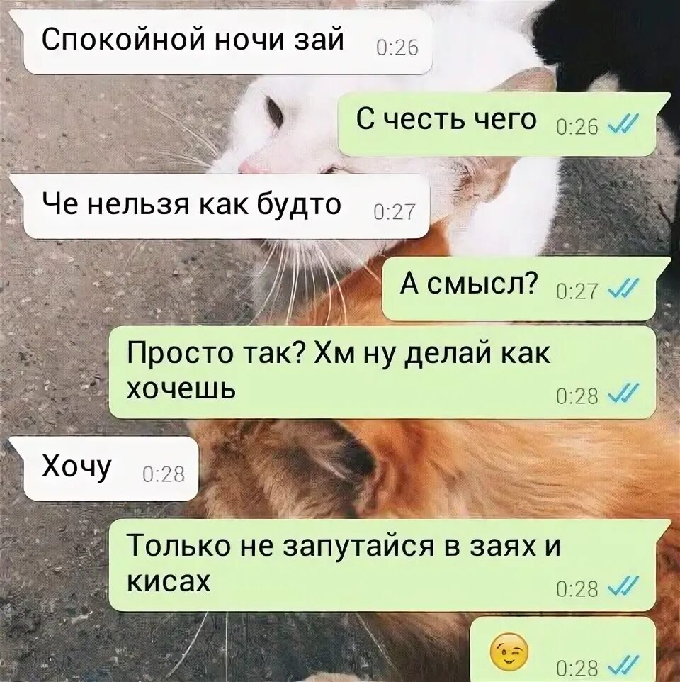 Дура ебучая