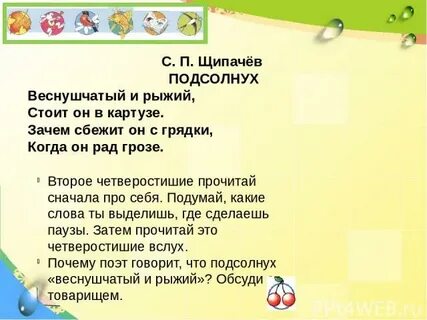 Подсолнухи текст песни