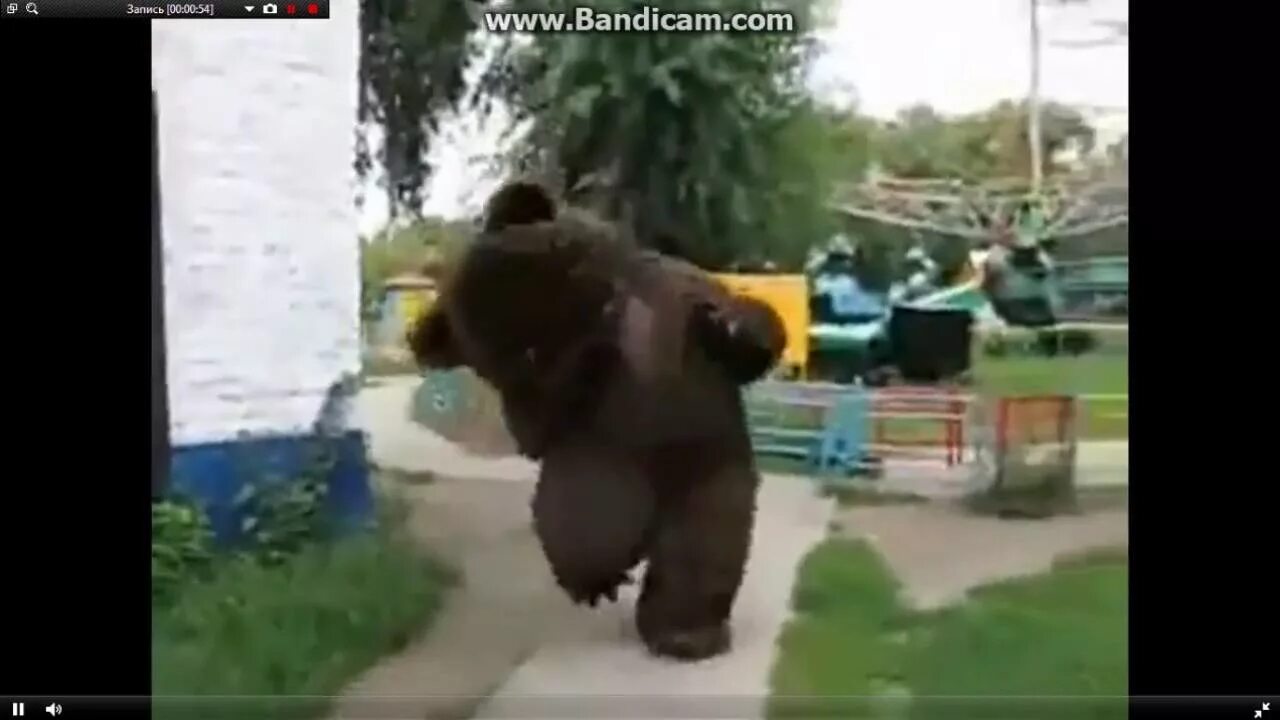 Видео смешной мишка. Бухой медведь. медвежонок упал. мишка пукает.