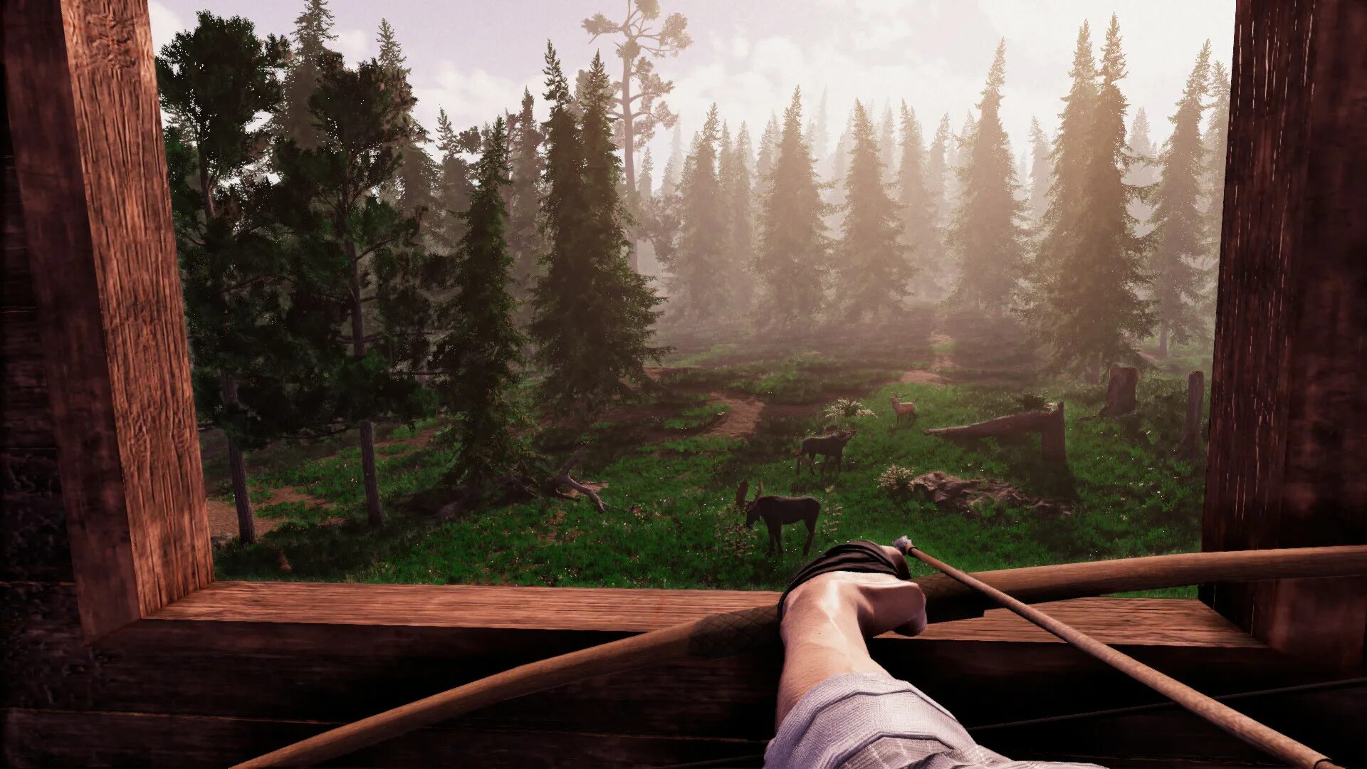 Great hunting