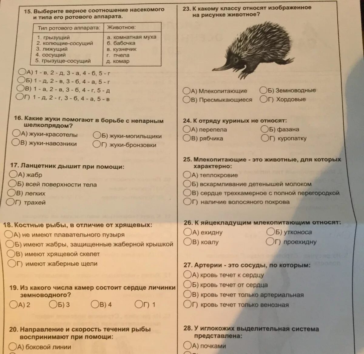 Тест по олимпиаде 8 класс. Олимпиадные задания по биологии 8.