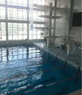 Ростов на дону проверки