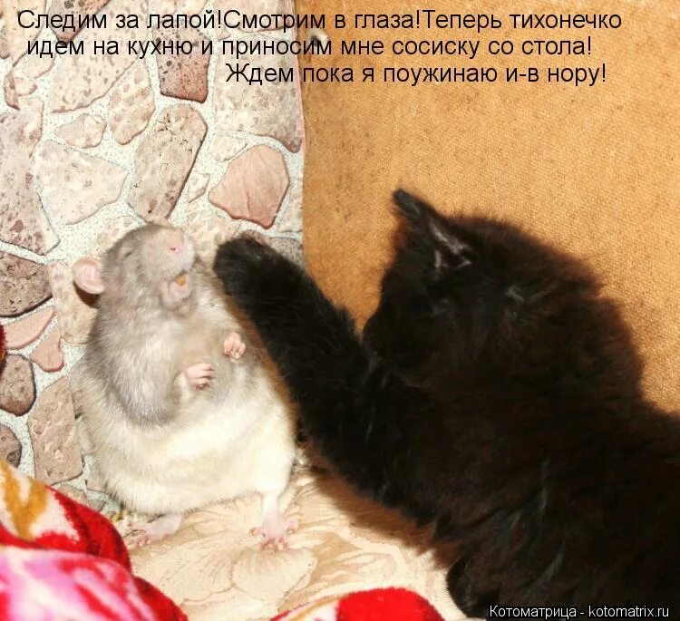 Что значит сопеть. Сопеть. сопит довольно. начала сопеть. сопеть это как.